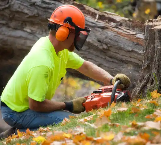 tree services Tappan